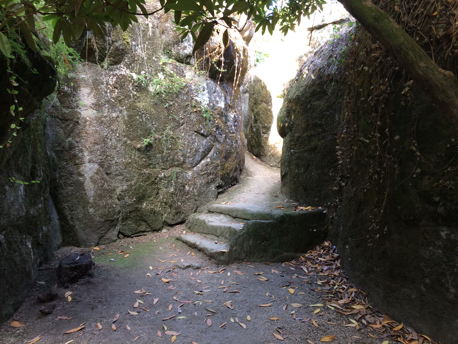 Camino de piedra entre paredones cubiertos de musgo