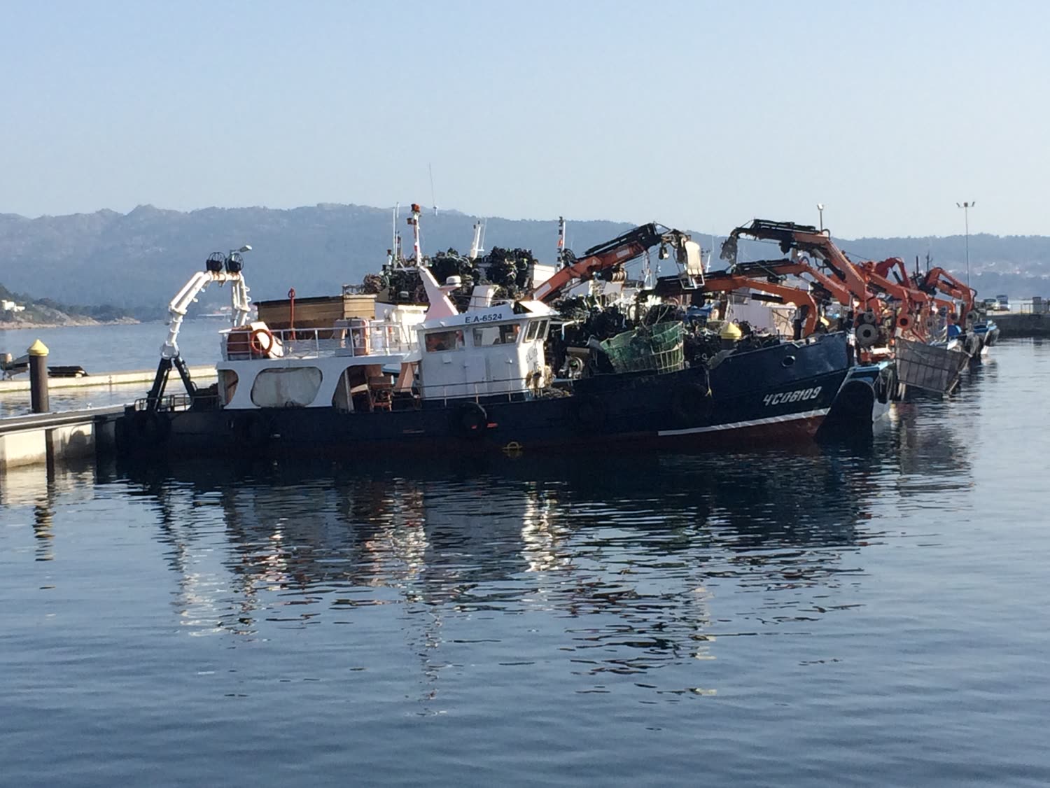 Barcos de pesca amarrados en el muelle