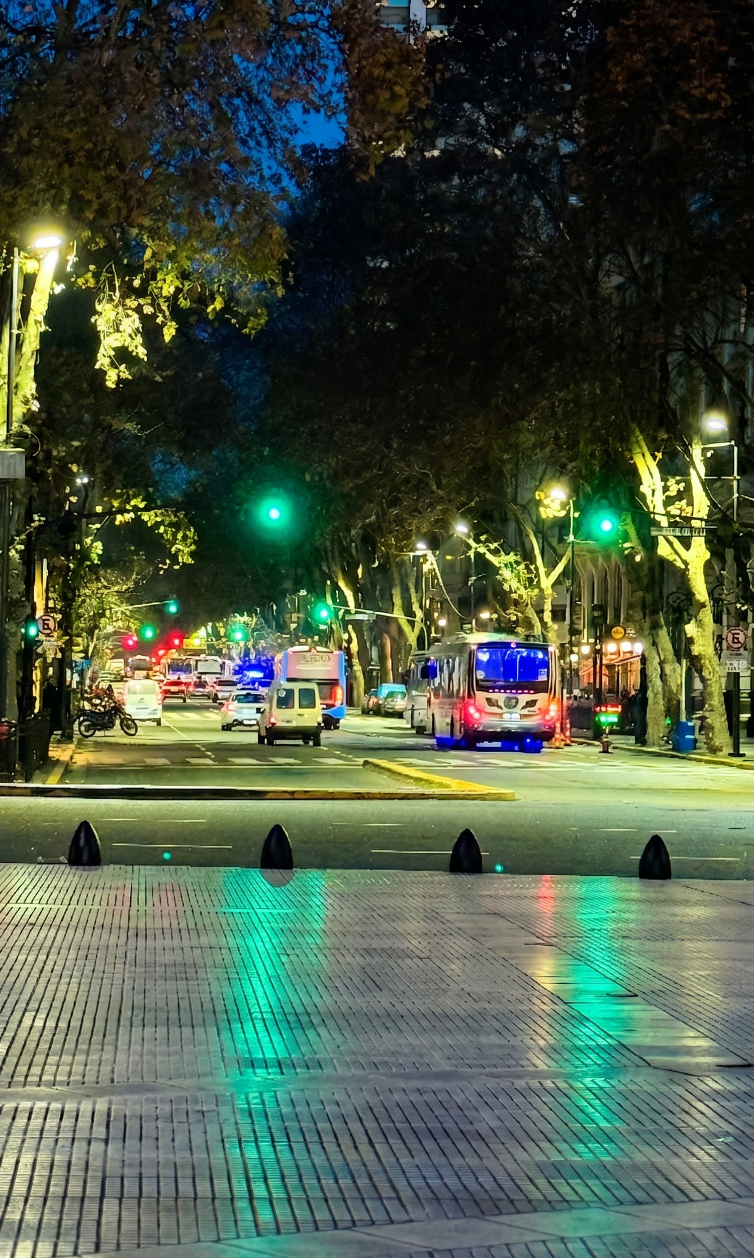 Avenida arbolada de noche con semáforos en verde reflejados en el asfalto